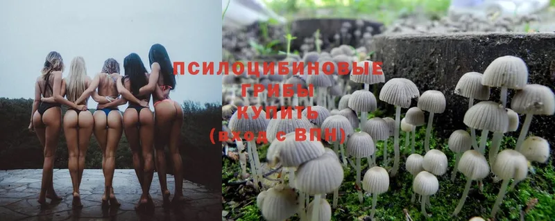 Псилоцибиновые грибы MAGIC MUSHROOMS  Хасавюрт 